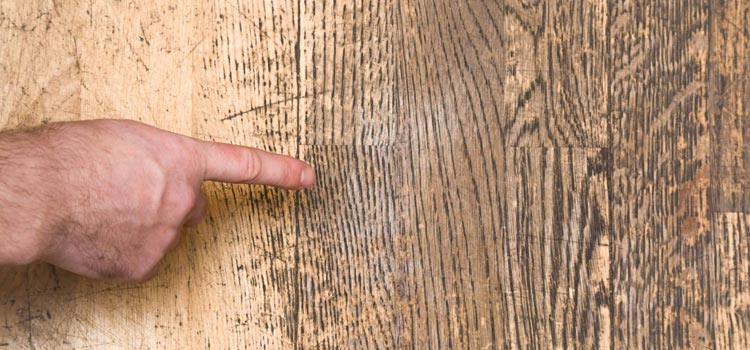 Wood Door Scratch Repair in Margate