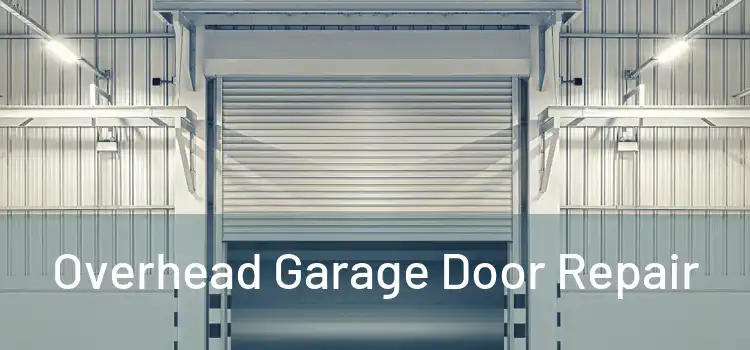  Overhead Garage Door Repair 